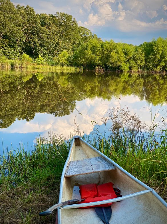 Pond